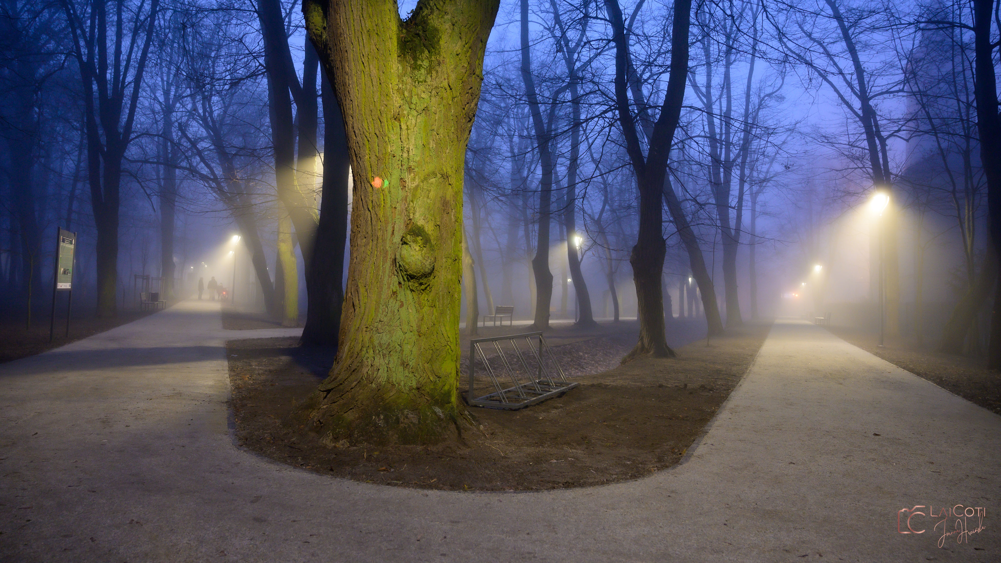 Park w Oleśnie